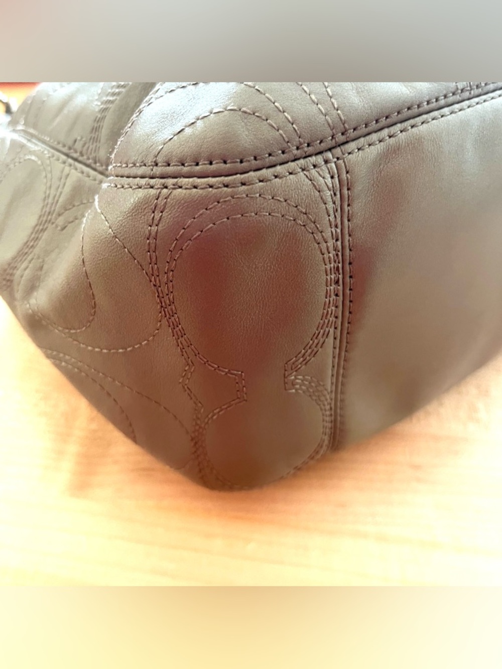 Coach Signature Taupy Metallic Leather Hobo Bag - Picture 8 of 11